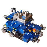 Manifold